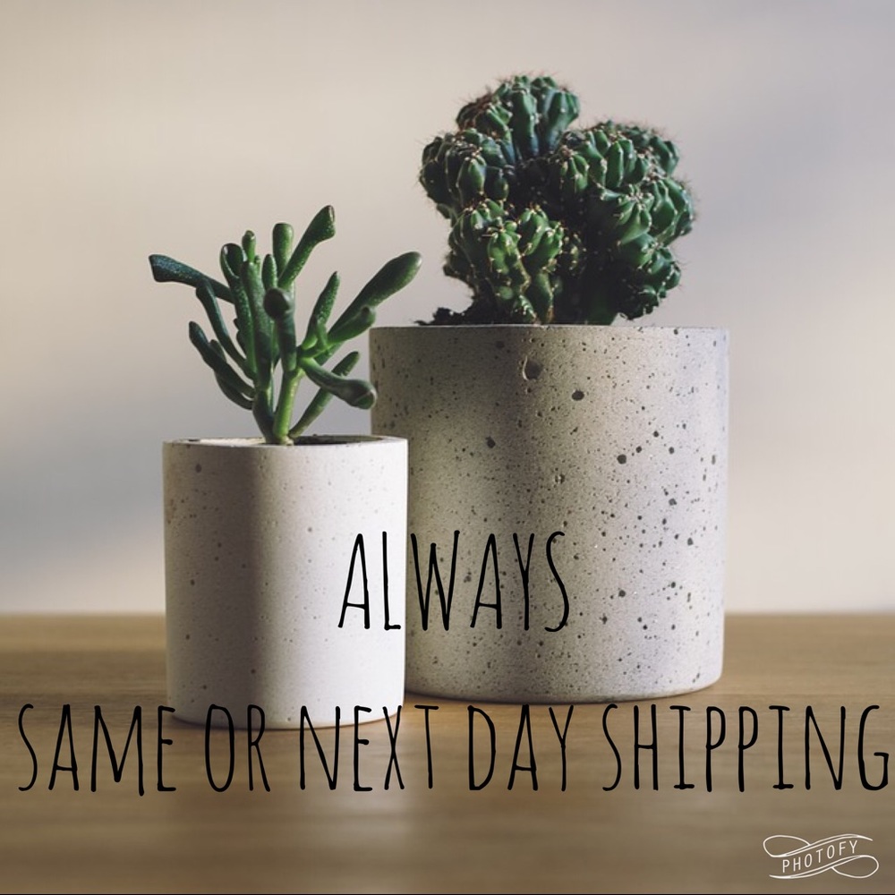 Quick Shipping!